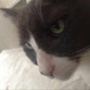 Meet your Posher, Pam